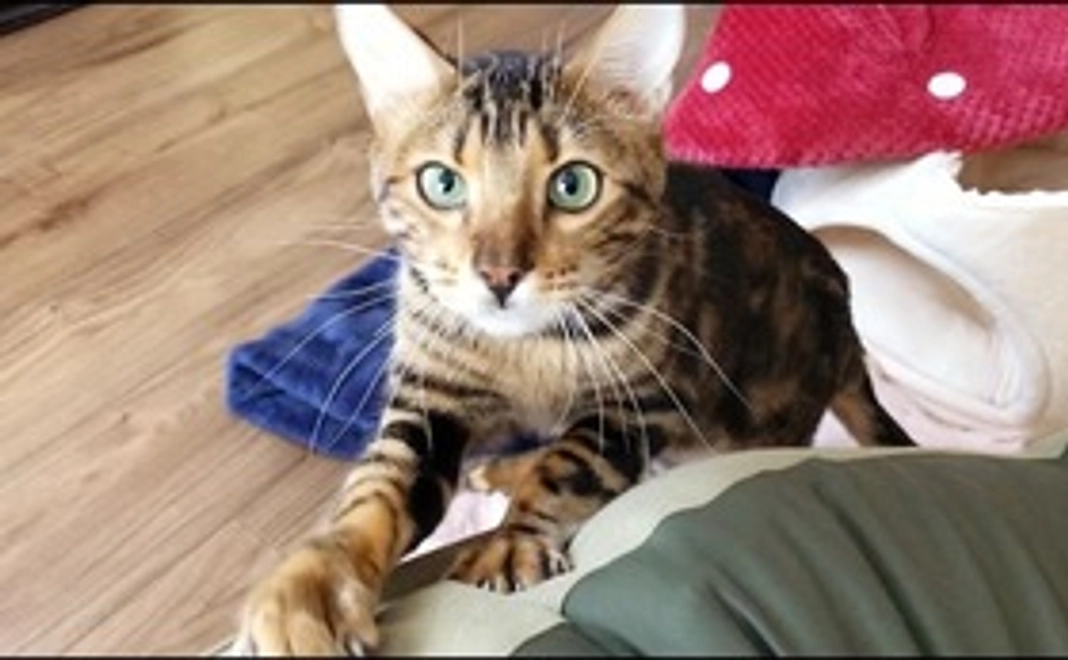 5,000円支援コース