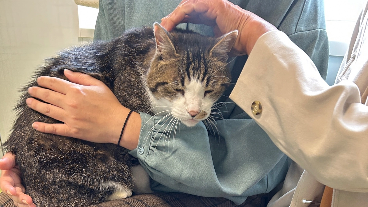 リターンのシェルター見学会、順次実施しております♪