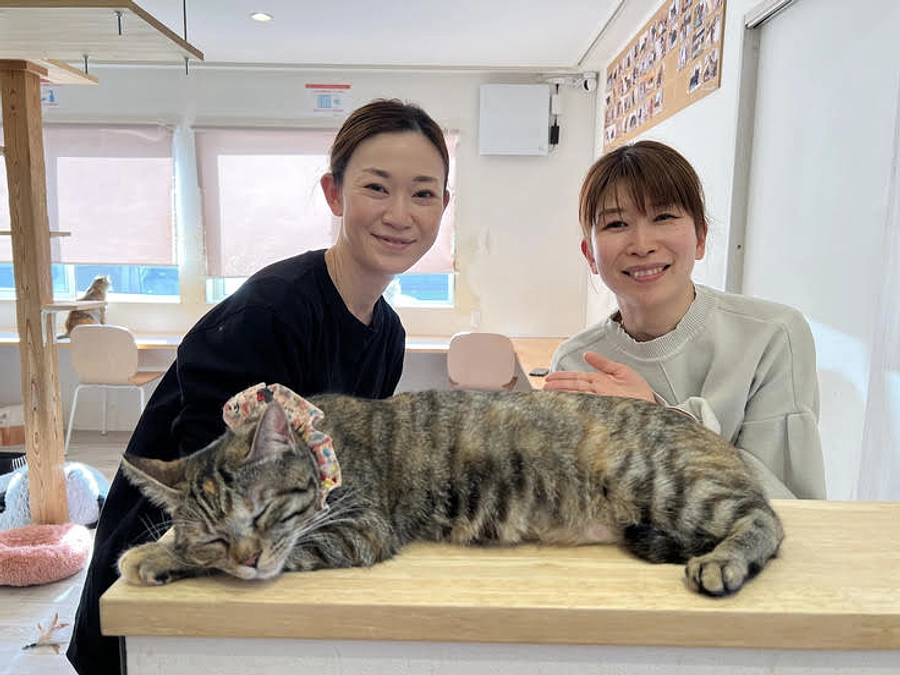 【ラジオ放送のお知らせ】FM福井のワイドプラグラム 3月27(月) 午前9:00〜