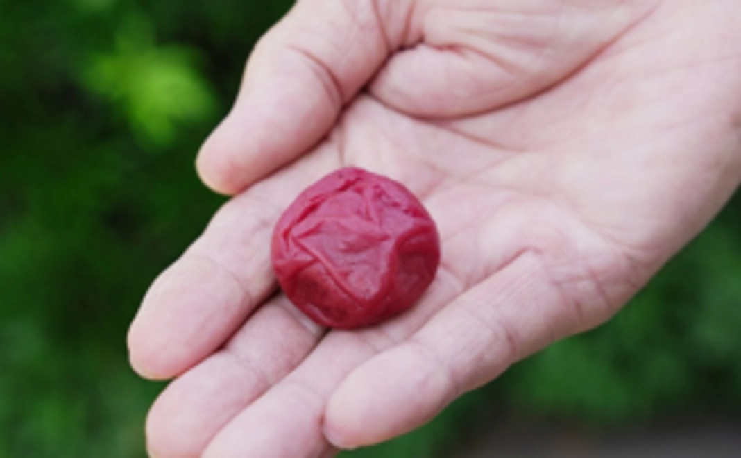 【県内外のみなさま向け】応援コース