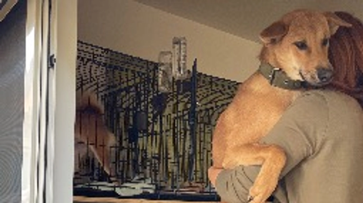 お迎えと…捨てる人…