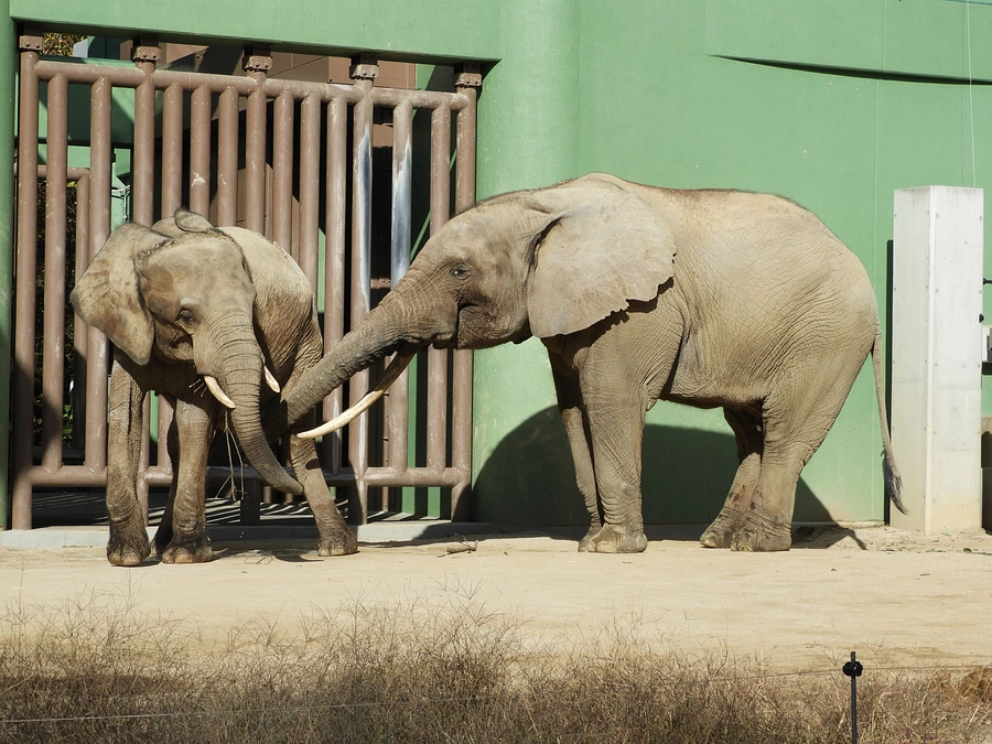 ご支援をHPで紹介いただきました