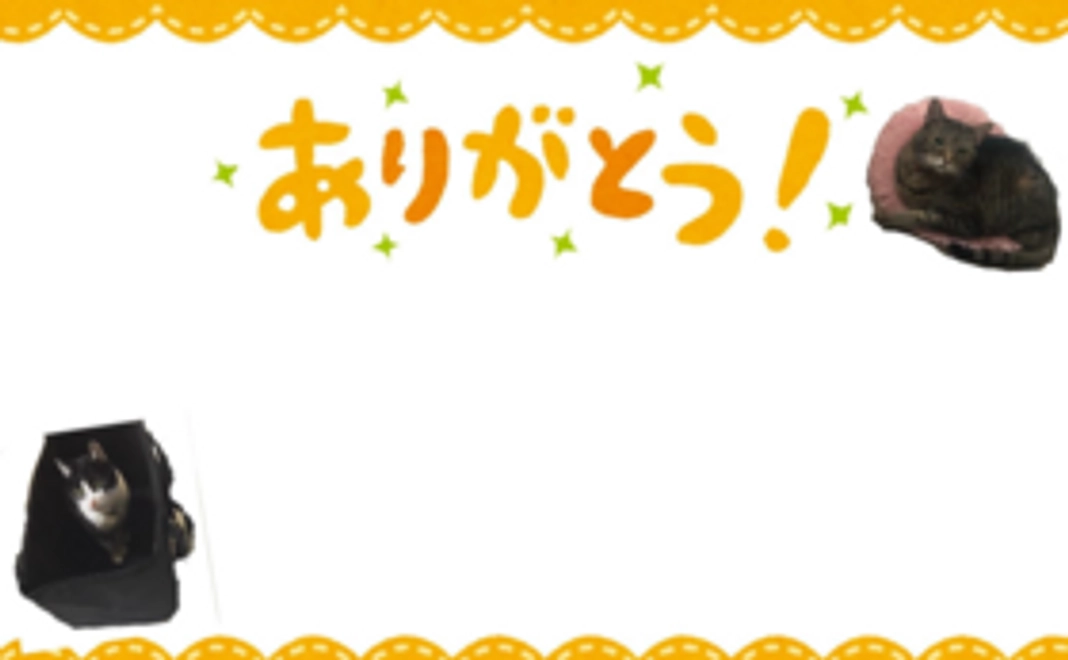 ポストカードセット+サンクスレター