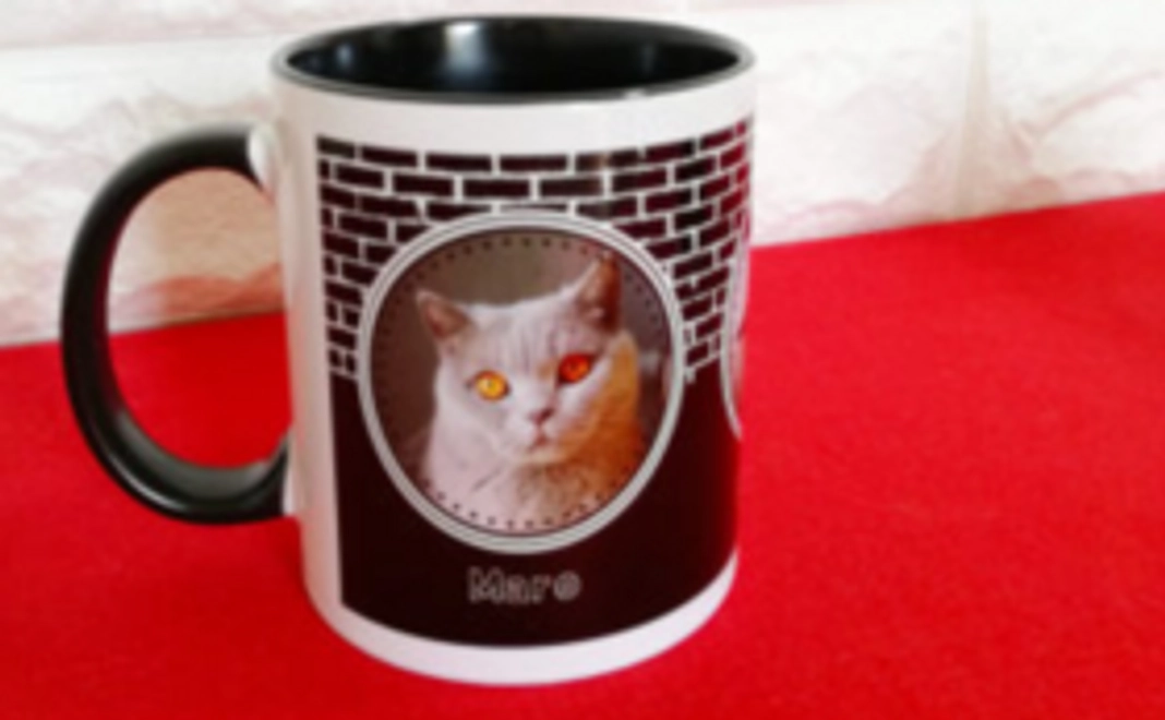 保護猫の写真入りマグカップ