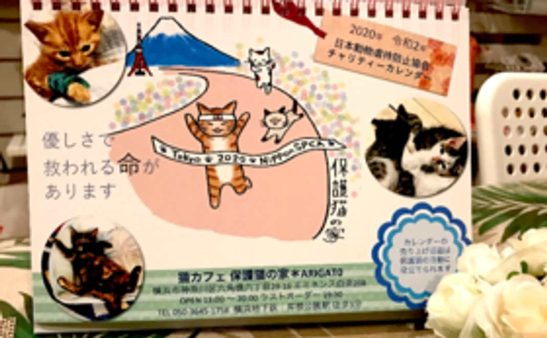 可愛い保護猫の家カレンダーお送りします！