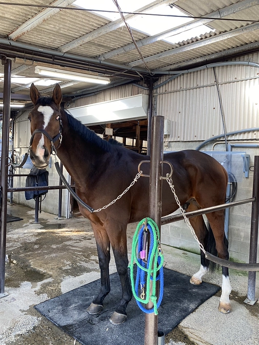 グラットシエルは2か月になりました。