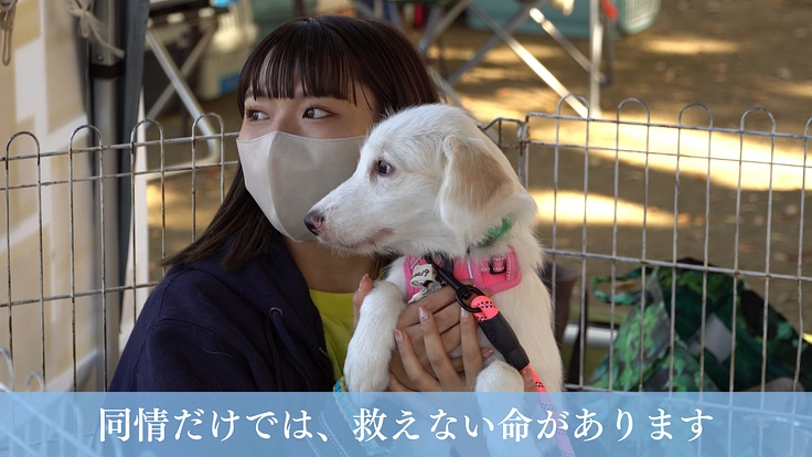 映画『吾輩は保護犬である』完成!映像の力で命の尊さを全国に伝えたい 3枚目