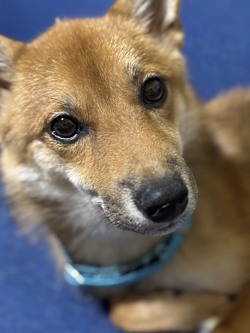 今回のプロジェクト