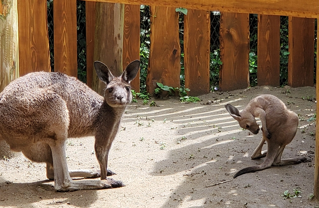 皆様へ☆スタッフからのメッセージ☆残り8日☆