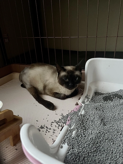 病院の方から連絡がありました。