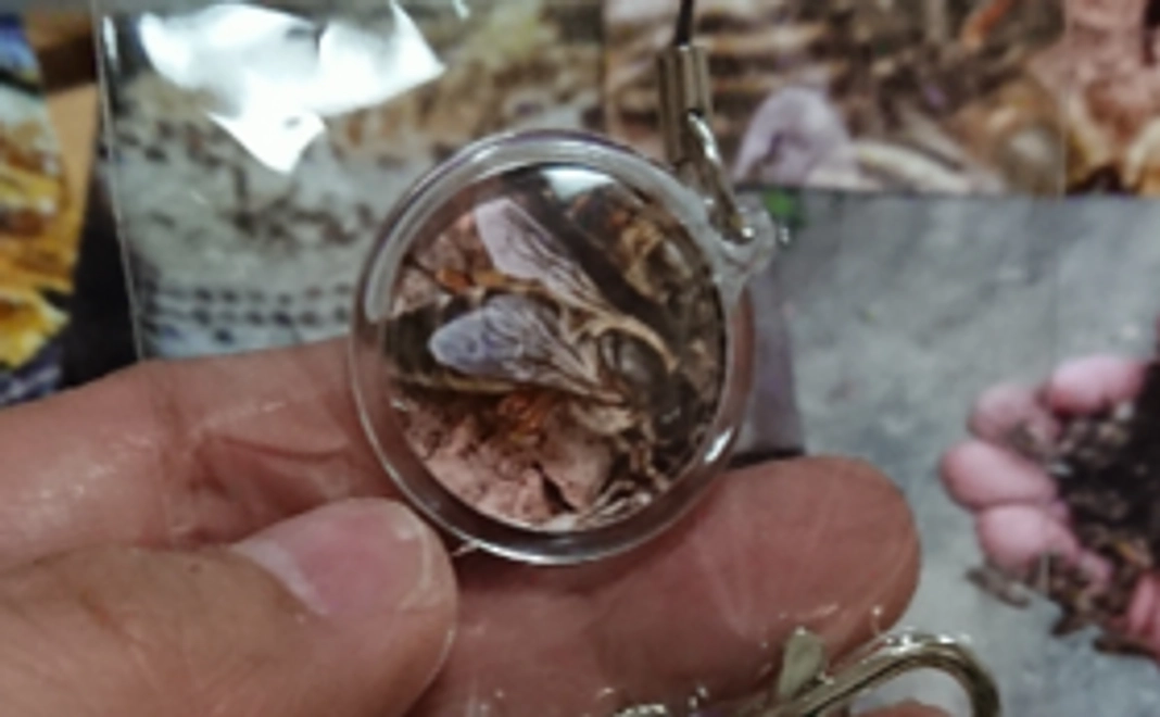 ニホンミツバチの写真入りキーホルダー(小)