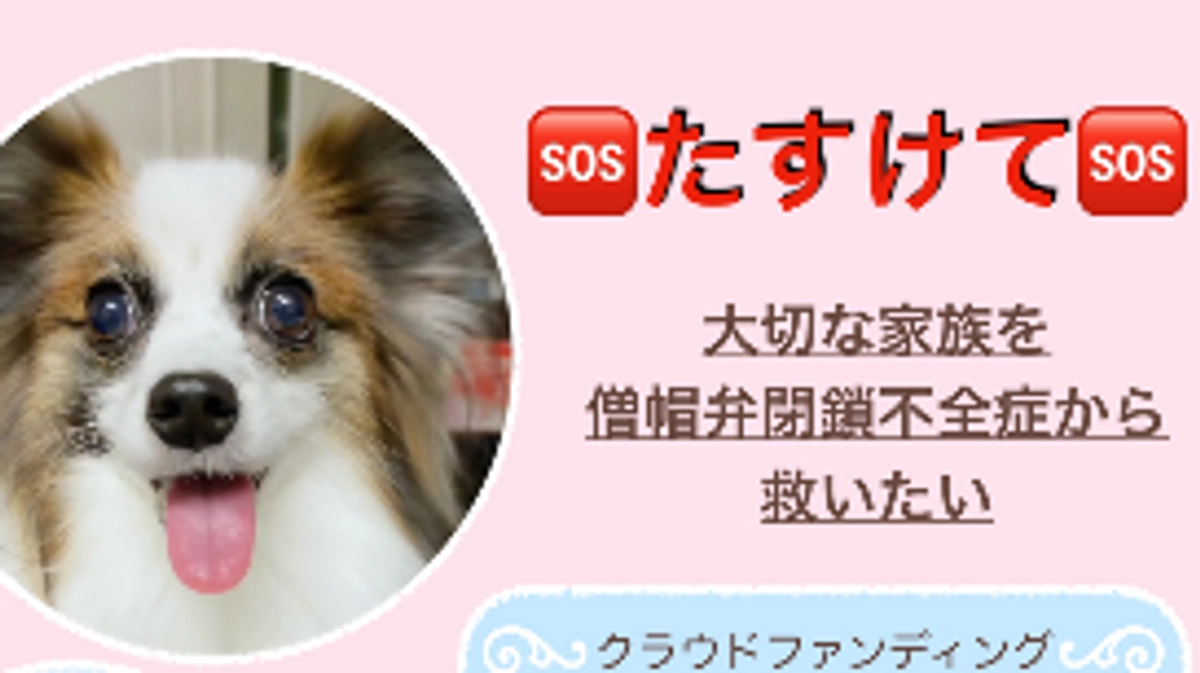 ✨️11／22 インスタライブをさせて頂きました✨