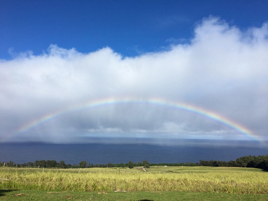 【🌈Happy Rainbow🌈】