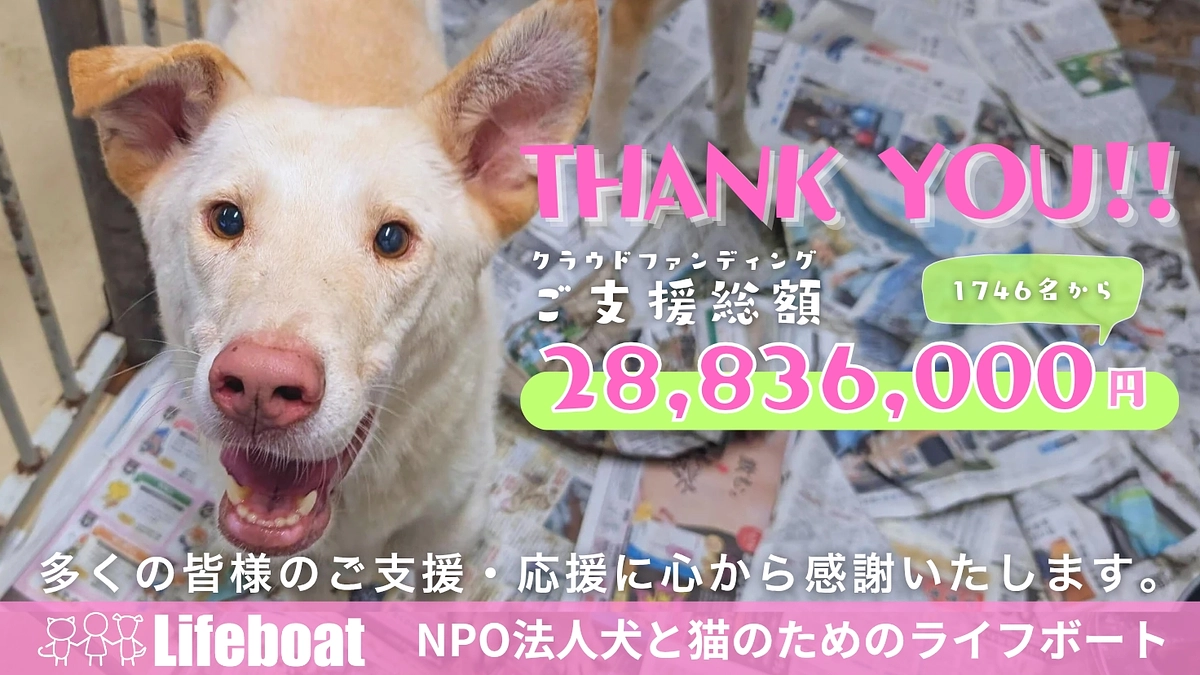 クラウドファンディング大成功のお礼