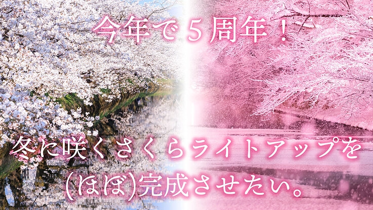 今年で5周年！冬に咲くさくらライトアップを(ほぼ)完成させたい。