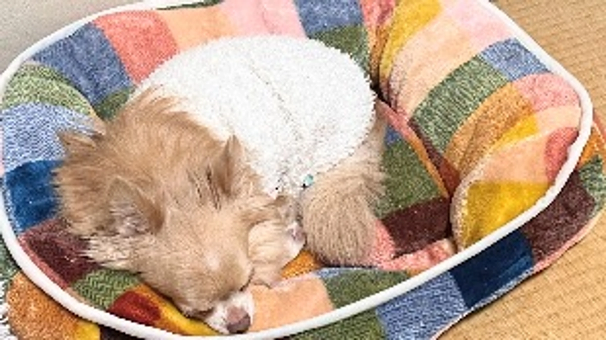 残り2週間となりました