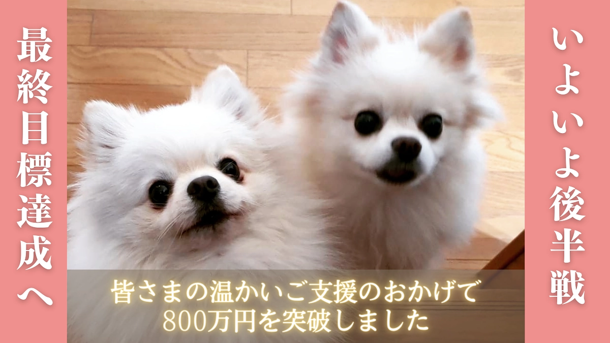 【800万円突破！】皆さんの想いと共に達成させます！