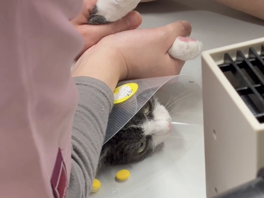 🏥𓂃通院結果についてのお知らせ…