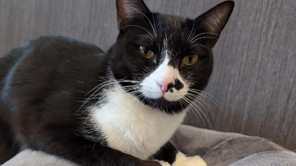 ㊗️あけましておめでとうございます✨