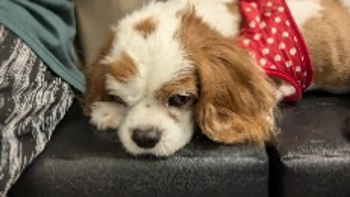 術後23日目の検査行ってきました