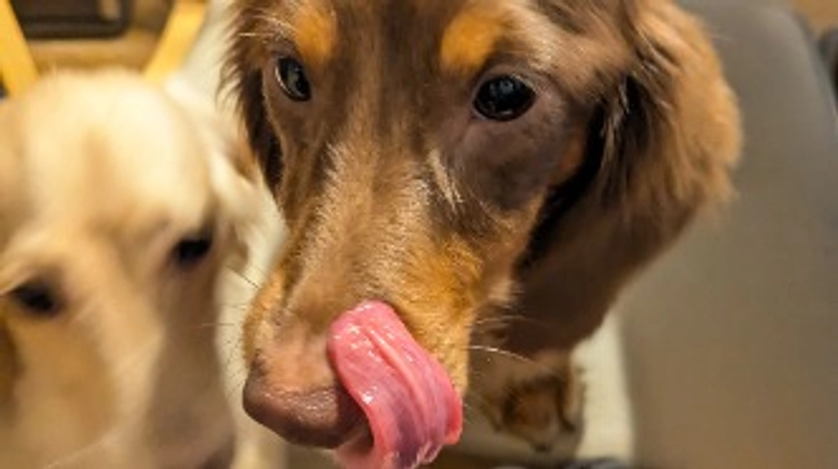 支援の輪が広がりますように。