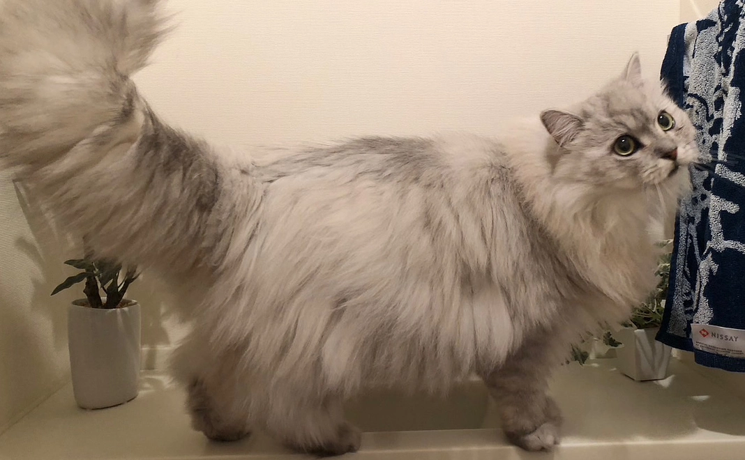 感謝のメール　3