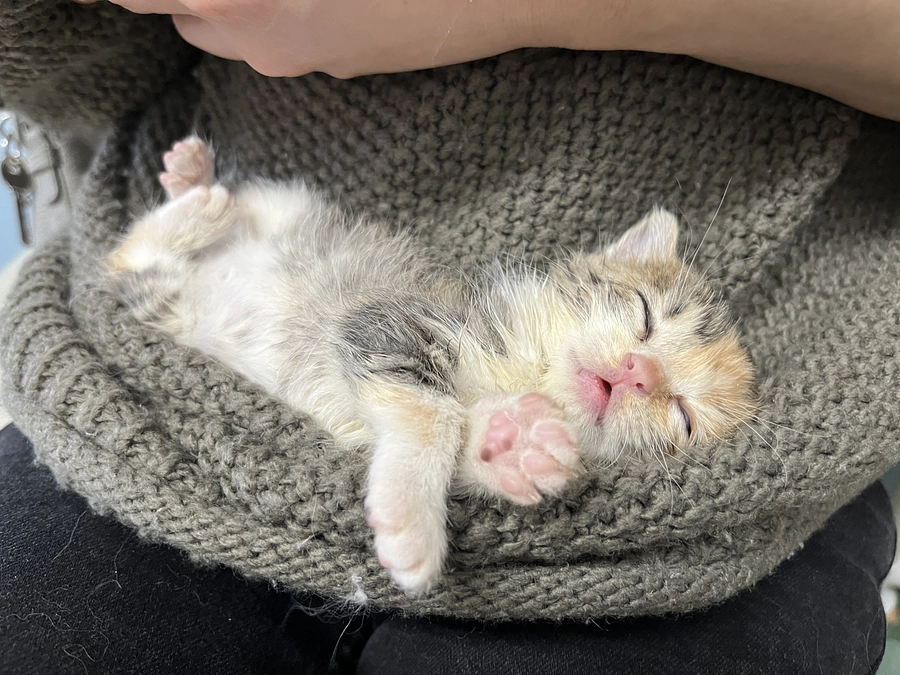 活動報告【2023・７月】