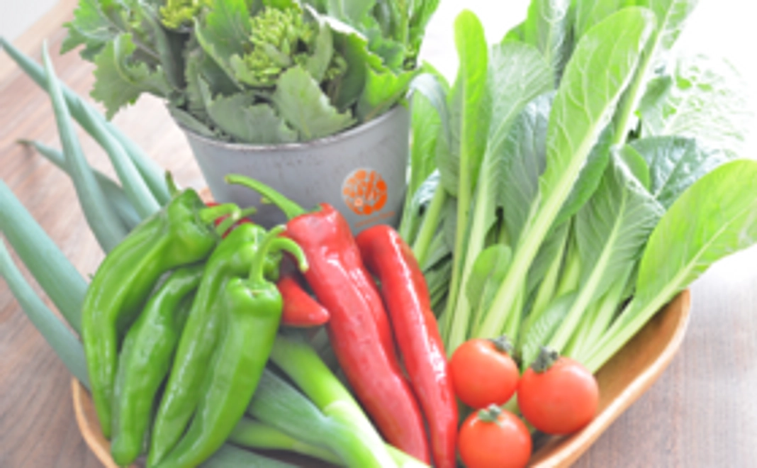 特製唐辛子付き!こだわりのお野菜セット