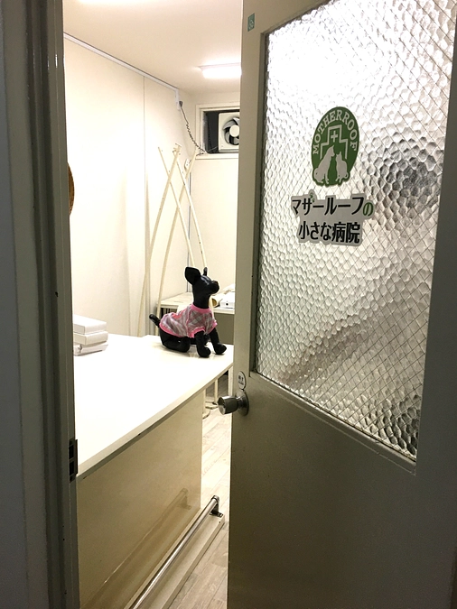 ご支援いただきました皆様へ 開業準備が整いました！