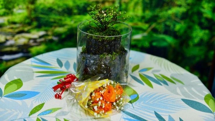 造園家が創る和風の苔テラリウムや庭ジオラマでひとときの安らぎと癒し