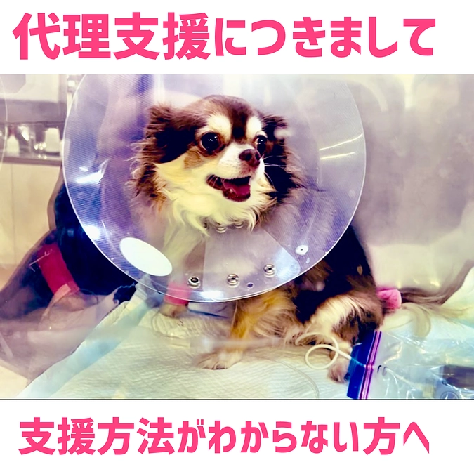 代理支援につきまして