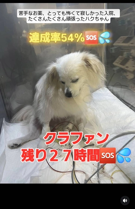 【残り２７時間】達成率５４％