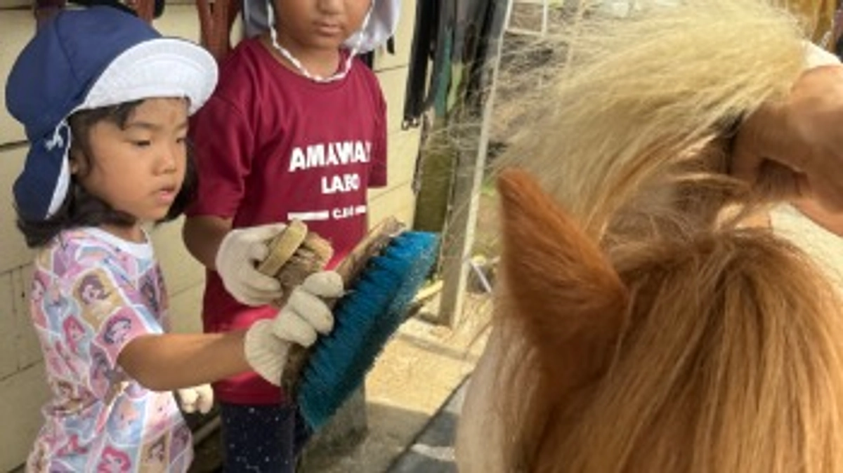 目標額までわずか6%！残り6日間となりました