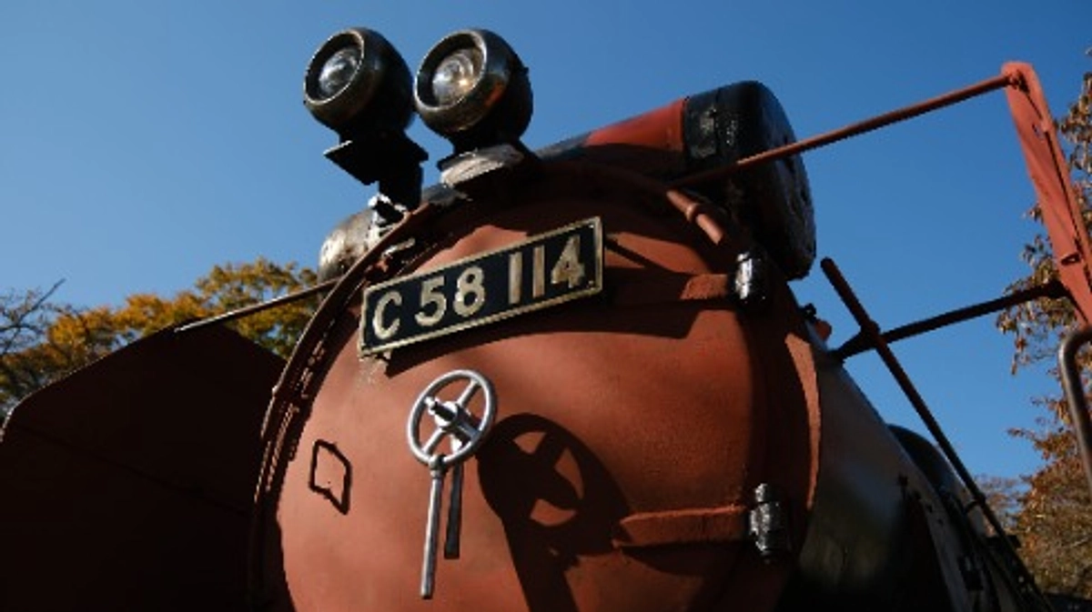 【NEWS】修繕活動第5週目・50年前の光を取り戻しました！