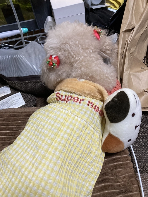 8/5のありがとうございます！