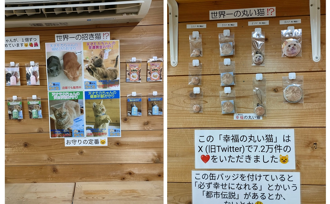 毎月応援 5,000円コース