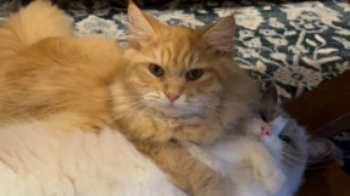 投薬開始から2週経過！