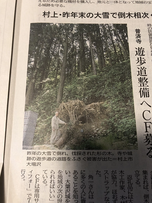 新潟日報社様にご紹介いただきました！