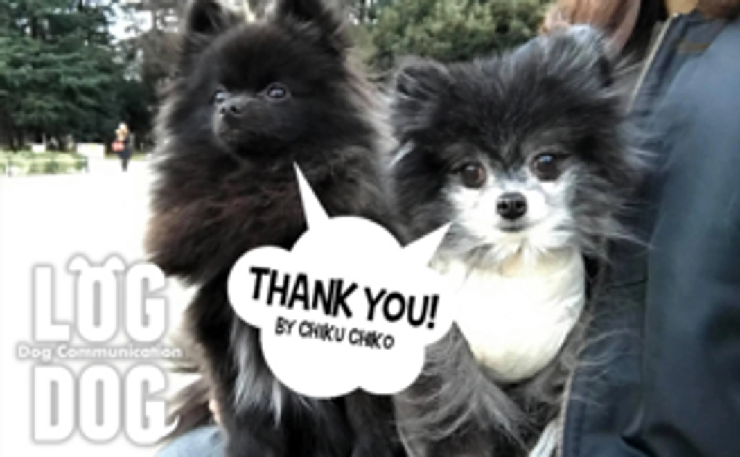 サンクスメール