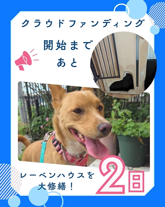 2025クラファン開始まであと２日。ご支援に感謝します。