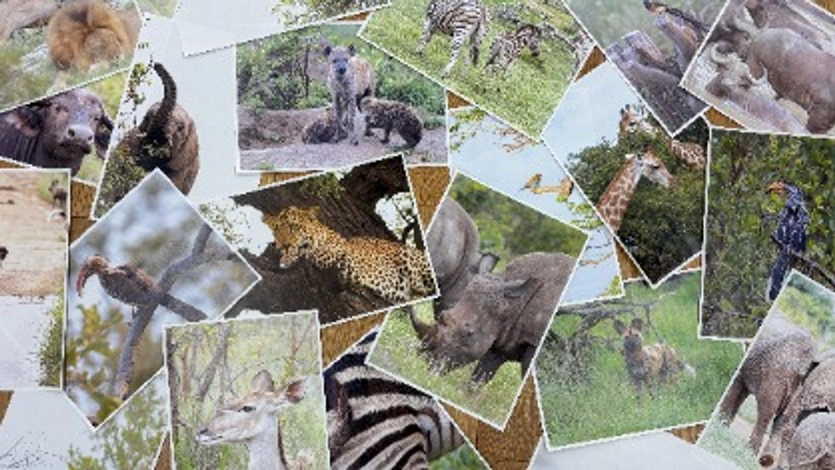 -ご支援のお願い- 残り72時間で223,000円のご支援が必要です