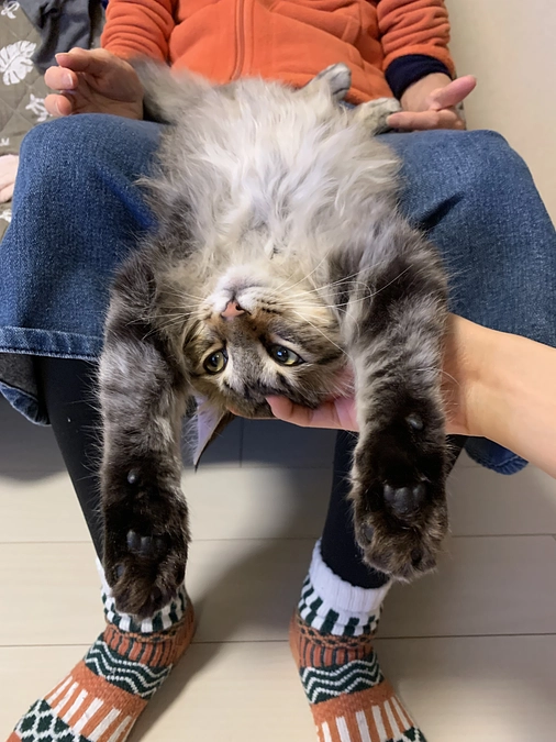 心からの感謝と、家族みんなで胃腸弱し🥲😿