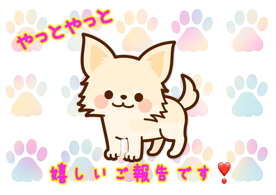 やっとやっと ひとつ嬉しいご報告