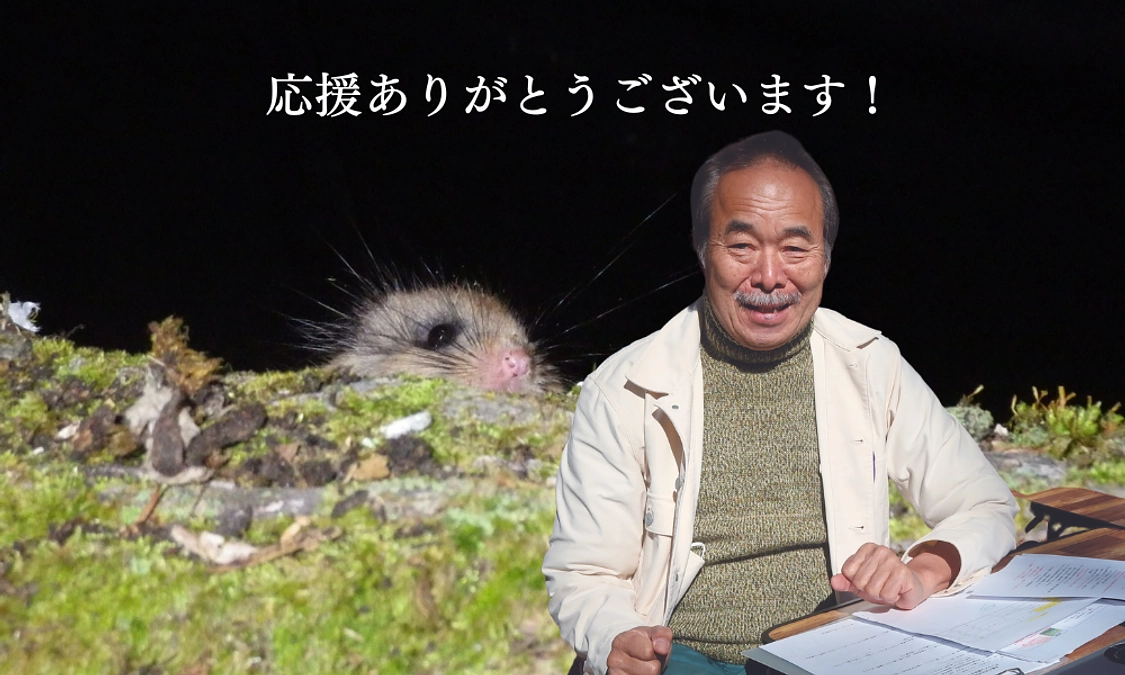 【セカンドゴール達成ありがとうございます！】🦇モモジロコウモリたちのこと