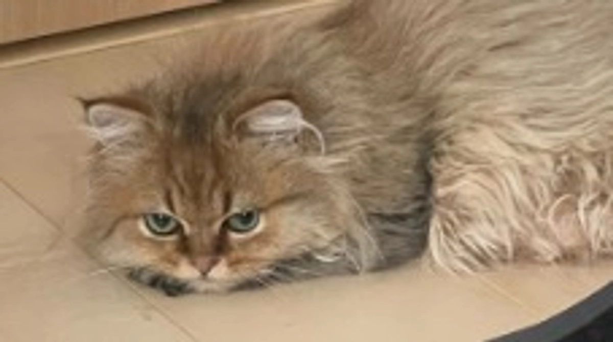 体調が落ちついてきました！