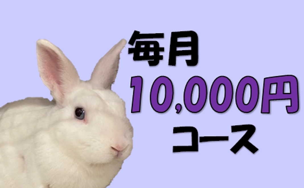 10,000円コース