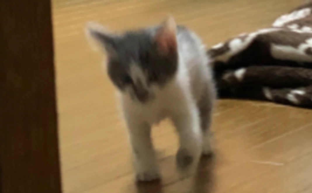 ご支援ありがとうございます！