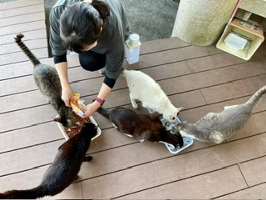 ボランティアリレー⑮