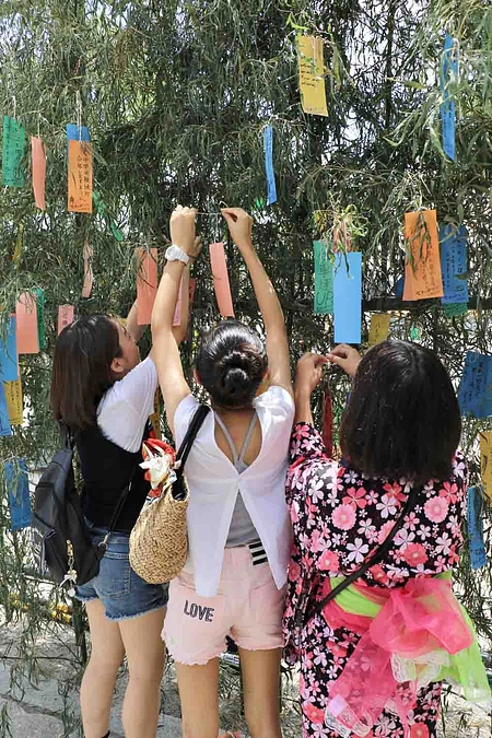 七夕のゆうべ公式SNS紹介