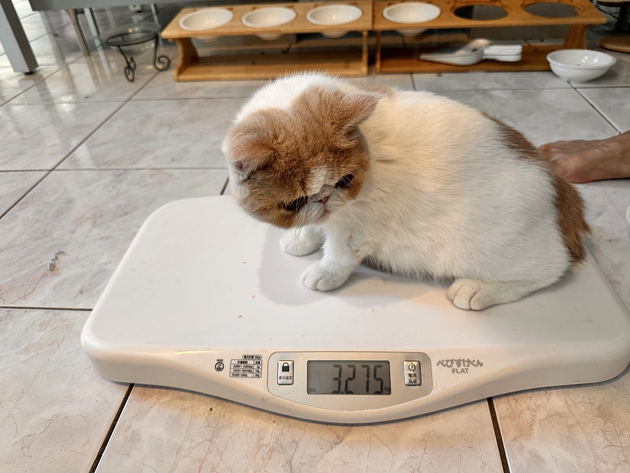 検査結果が出ました